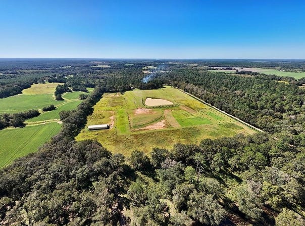 1136 Nesbitt Road, Pavo, GA 31778