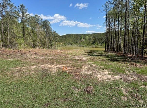 2630 Hannah Drive, Deatsville, AL 36022