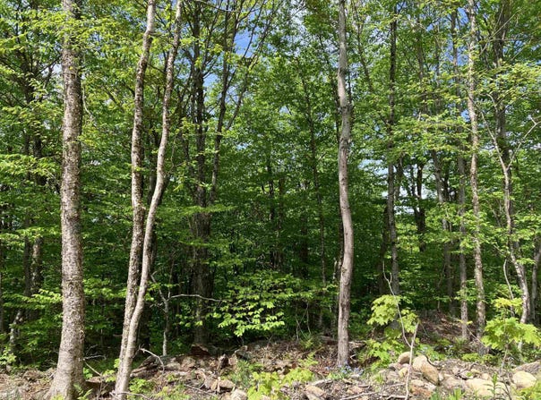 402 Fox Mt. Road lot: 00Chm402.000, Chm403.000, Wilmington, VT 05363