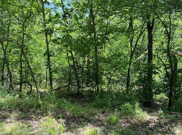 Lot 21 Stoneykirk  DR, Bella Vista, AR 72715