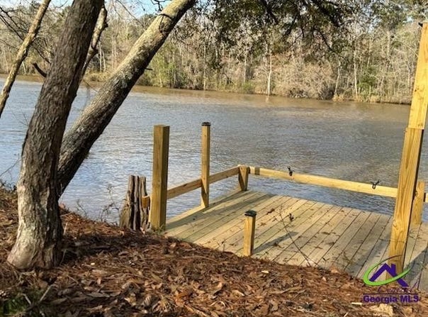 320 Drayton Woods Road, Vienna, GA 31092