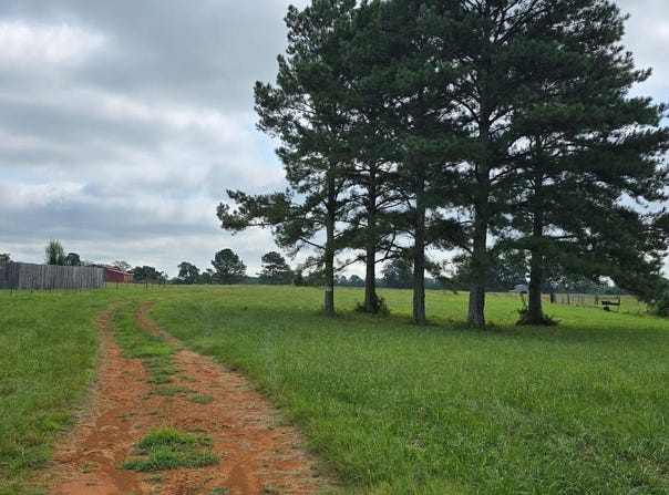 19444 Easter Ferry Road, Athens, AL 35614