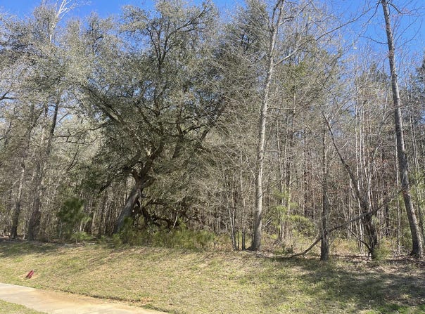 Hwy 52, Moncks Corner, SC 29461