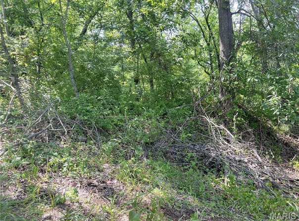 0 Hillview Lane, Perryville, MO 63775