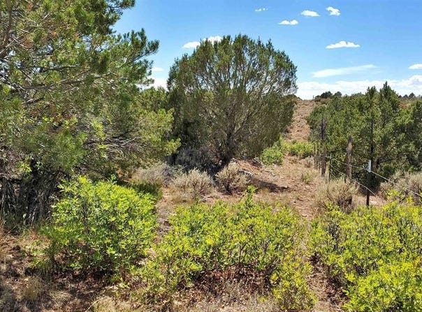 tbd Road 15.5, Yellow Jacket, CO 81327