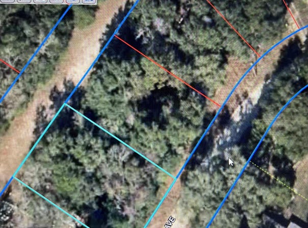 NE 157 Avenue, Williston, FL 32696