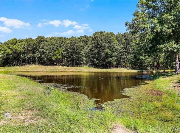 (31.46+/-ac) Tract #4 Horstman Road, New Haven, MO 63068