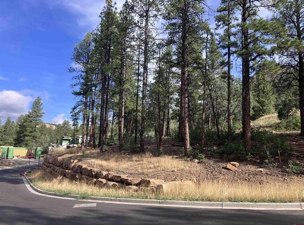 53 Snowdrop Ct. (Lot 140), Durango, CO 81301