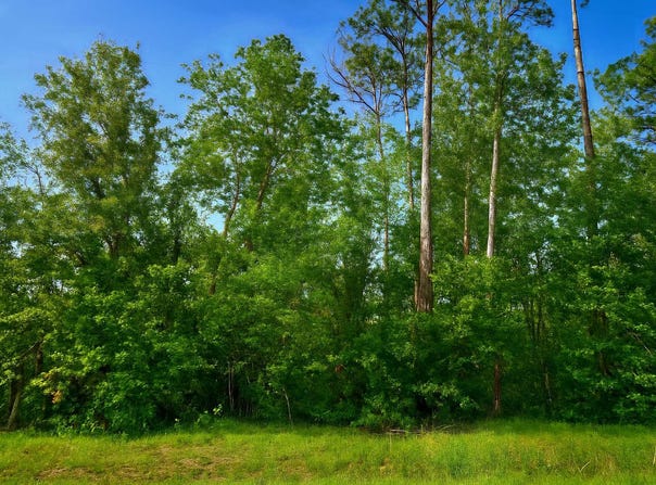 LOT31 NW 23RD BLVD, Jennings, FL 32053