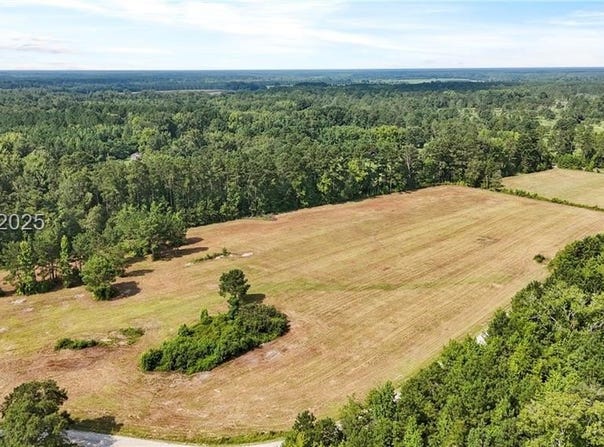 654 Pleasant Hill Road, Garnett, SC 29922