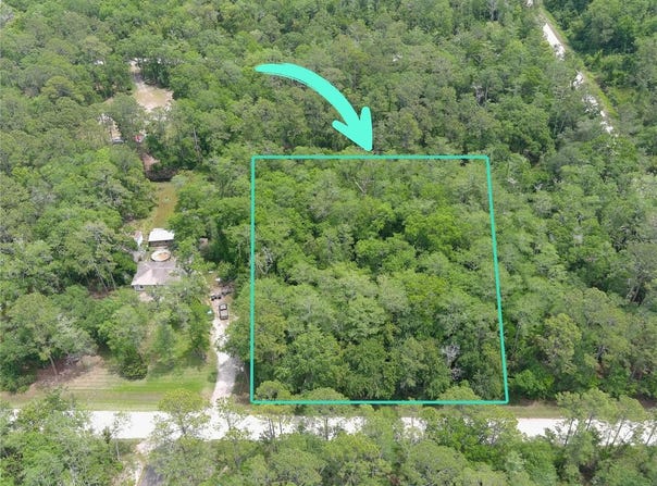1823 HONEYTREE STREET, BUNNELL, FL 32110
