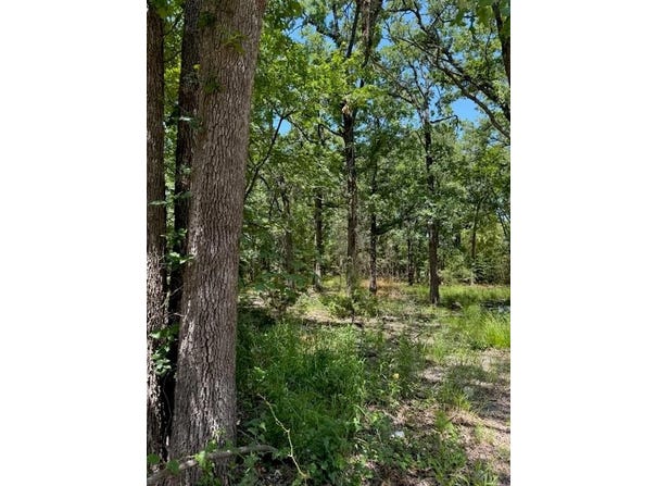 316 Sandy Lynn, West Tawakoni, TX 75474