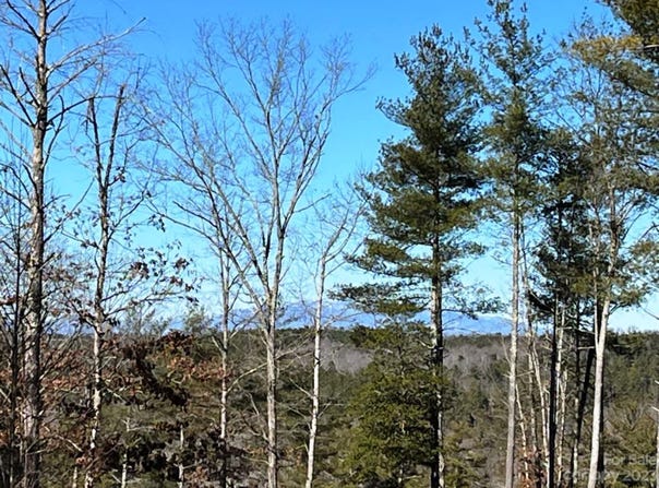 1144 Lakeside Way NW unit: 14, Valdese, NC 28690