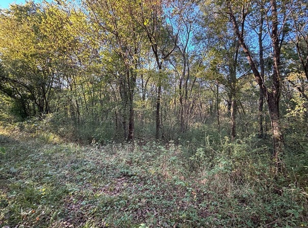 Tbd Walnut St, Mccurtain, OK 74944