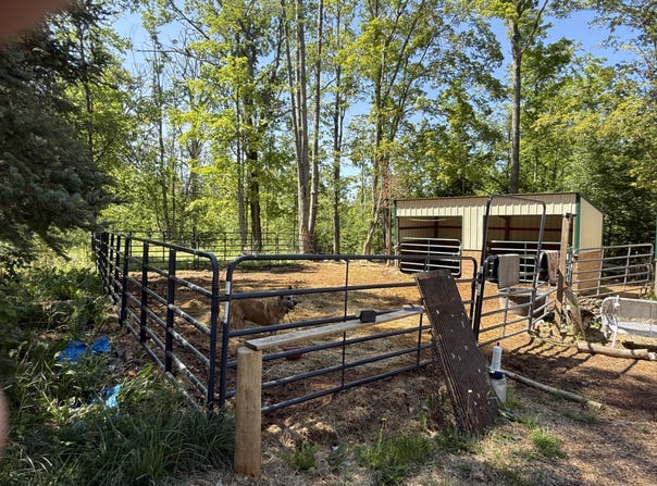 1810 Richard Road, Comins, MI 48619