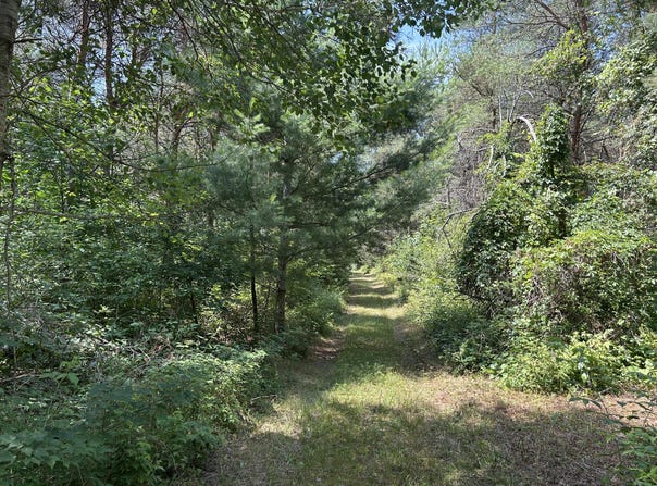 V/L Old Rugged Lane, Reed City, MI 49677