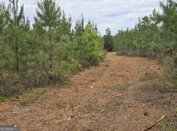12 Marvin Murphy Road, Ellaville, GA 31806