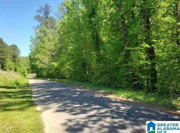4360 JIM TATE ROAD, DORA, AL 35062