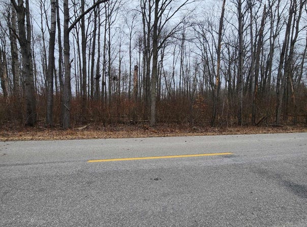 Poor Farm Road lot: 11 & 12, Greenbush, MI 48738
