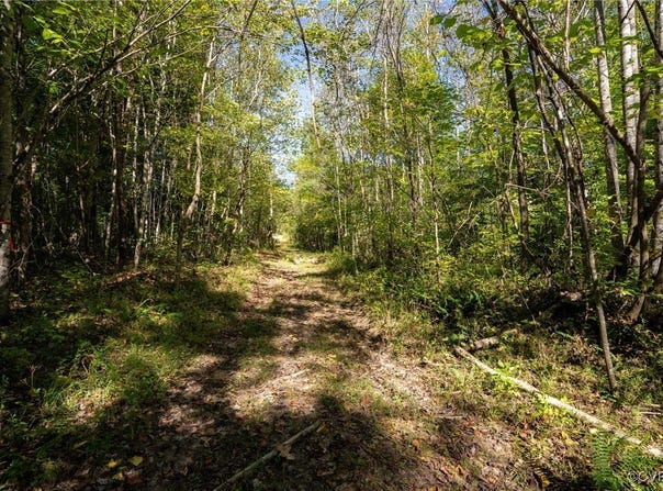 0  Beaver Dam Rd, Beaverdam, VA 23015