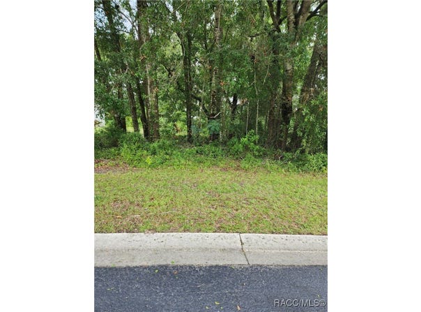 7892 W Tumblwbrook Drive, Dunnellon, FL 34433