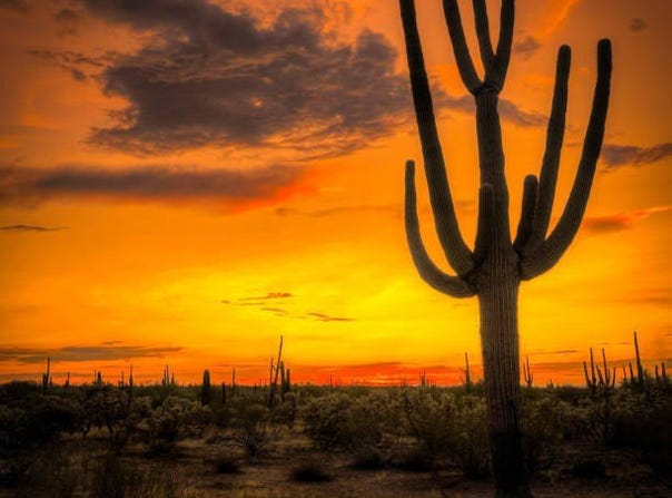 227 W Patton Rd. & 227th Ave. --, Wittmann, AZ 85361