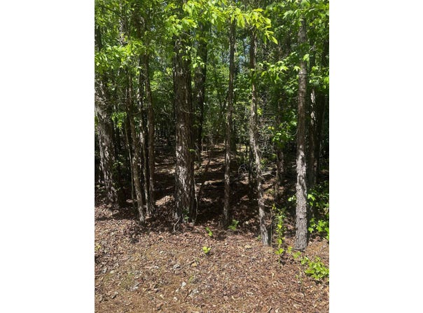 23 Andorra Circle, Hot Springs Village, AR 71909