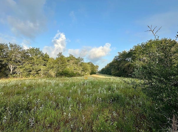 000 Sandy Creek Rd, Garwood, TX 77442
