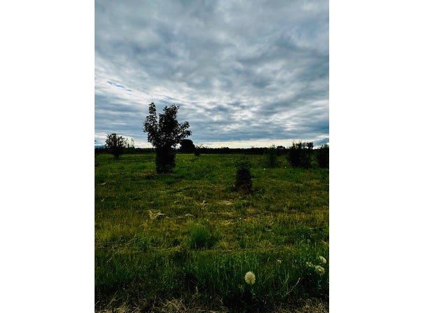 389 Jefferson Street, Kalispell, MT 59901