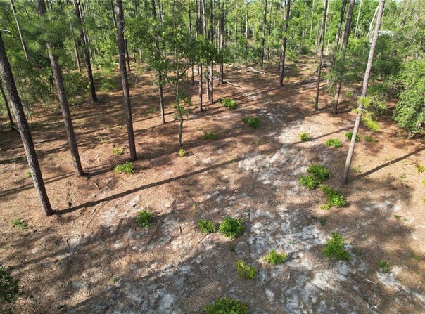 SE 148TH Court, MORRISTON, FL 32668