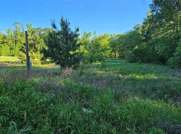 0 FM 320, Palestine, TX 75802
