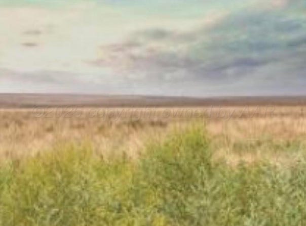 FM  2587, Wildorado, TX 79098