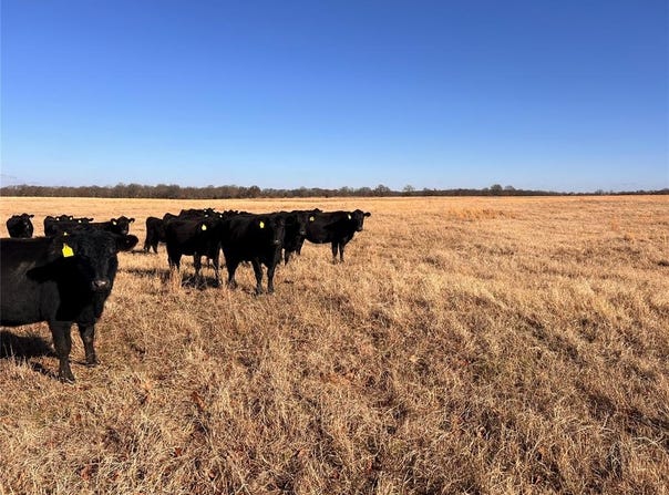 365 Road, Okemah, OK 74859