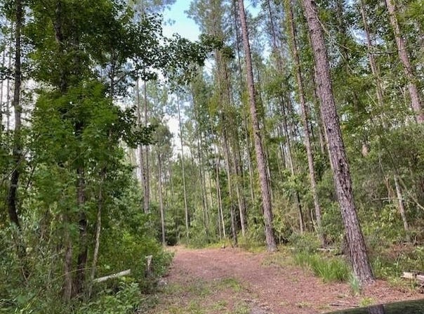 0 Highway 29, Andalusia, AL 36426