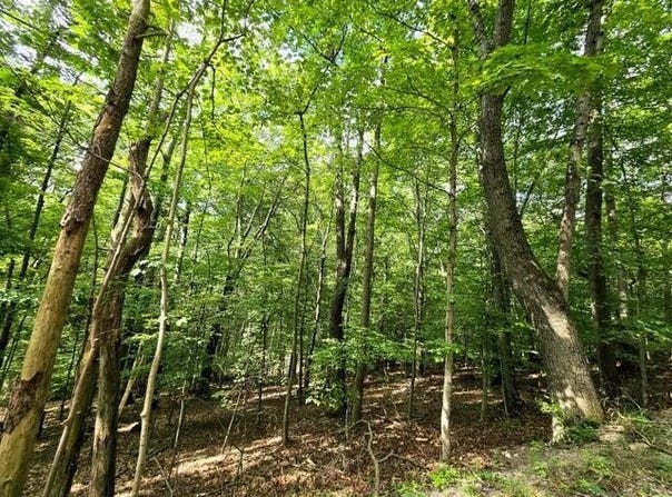 1756 Mohican Lane, Hide A Way Hills, OH 43107