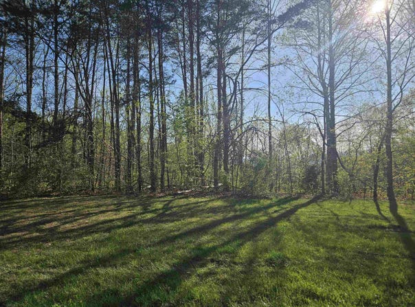 Woolwine Highway, Woolwine, VA 24185