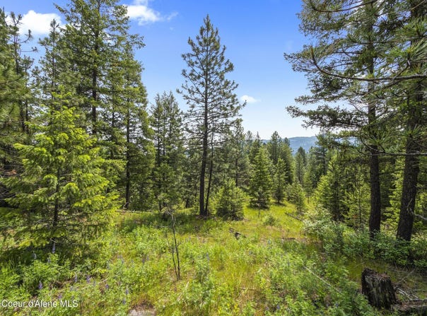 685 Blanchard-Elk Rd, Blanchard, ID 83804