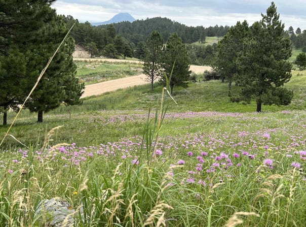 Lot 30 Summit Pass, Whitewood, SD 57793