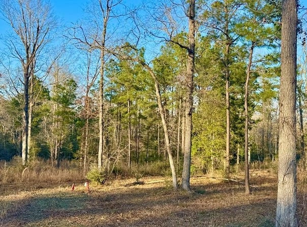 2165 Dorsey Road, Hemphill, TX 75948