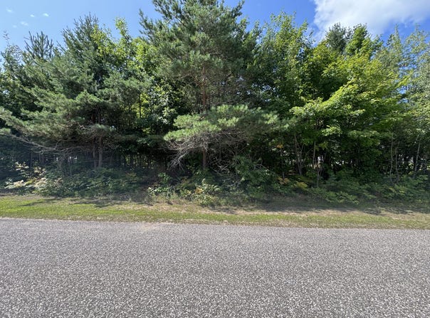 Daisys Way, Kinross, MI 49752