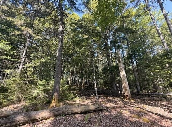 Lot #17 Sunset Cove Way, Orland, ME 04472