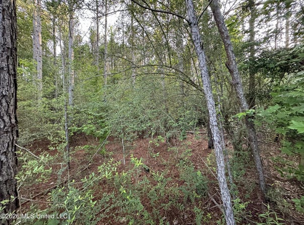 N Lot 1 River Road, Summit, MS 39666