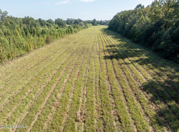 2000 Blk Louisiana 31 Highway lot: 1,3,2, Cecilia, LA 70521