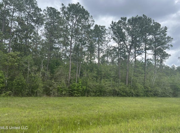 Highway 63, Moss Point, MS 39562
