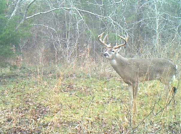 3324-a County Road 3206, Dawson, TX 76639