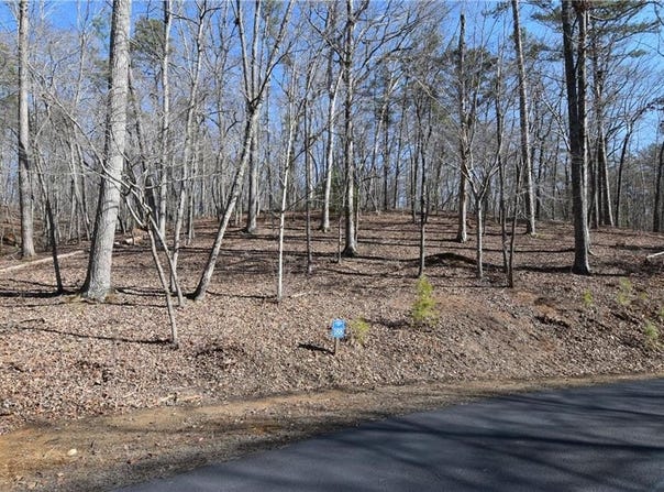 00 Harris Ridge Lane, Ellijay, GA 30540