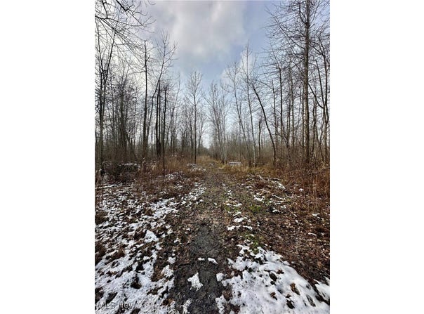 Sanborn Road, Ashtabula, OH 44004