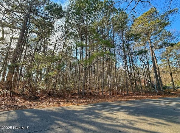 213 Saddlewood Drive, Goldsboro, NC 27354