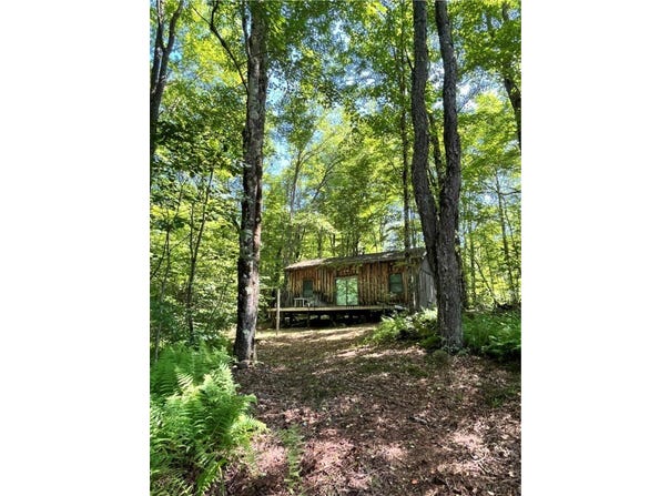 2865 Steam Mill Road, Masonville, NY 13804