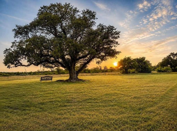 Tbd County Road 96, Purmela, TX 76566